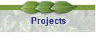 Projects