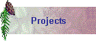 Projects